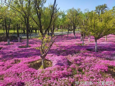 过地向名句欣赏