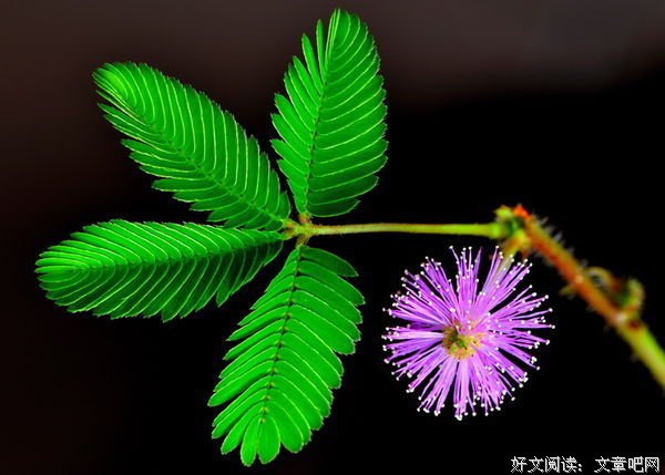 幽默给普通的我带来了什么
