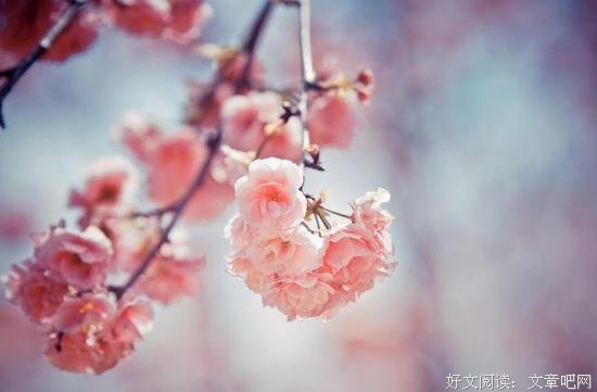 做人该有的五条底线 