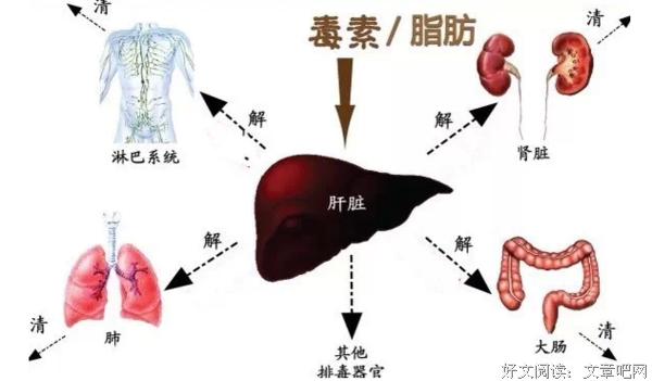 描写肝胆相照的语句摘抄