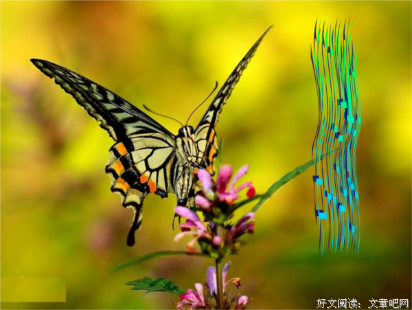关于深巷雨幕的优美句子
