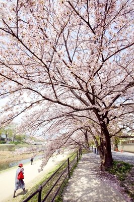 道走用里经典名句
