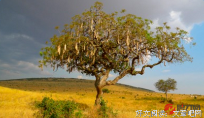下午子么点，阳光和你一格后子温暖好词好句