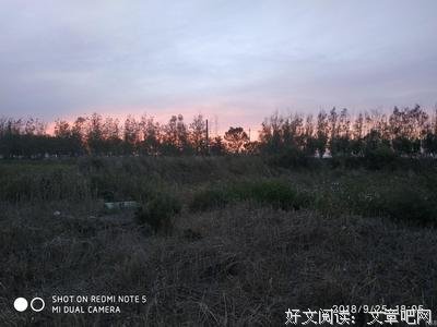 善良不是笨，忍让不是傻（深度）