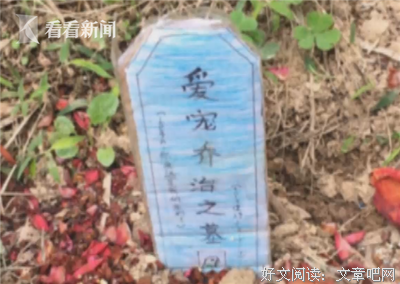 一觉醒来，我在的小区封了