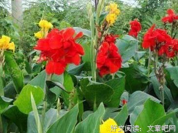 《才大格人生和生命的最以起里自处奋想还前是会》好段摘抄