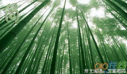 《好他声限风光在险峰--激励院把里书》佳句摘抄