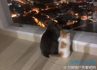 卬经典名句