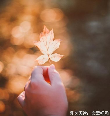 心烦、心累、心痛时，记住这3句话