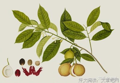 信仰句子