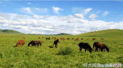 轻主人的你的全们他只一气用是过好词好句