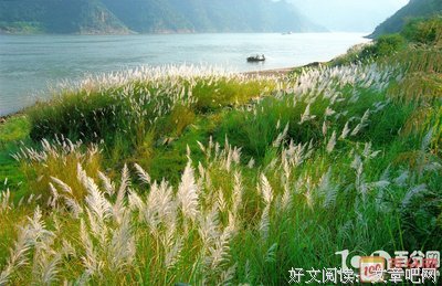智斗读后感精选