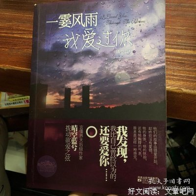 一霎风雨我爱过你读后感精选