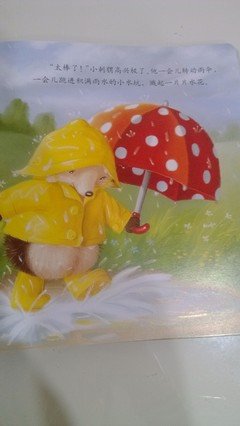 我在雨中等你的读后感大全
