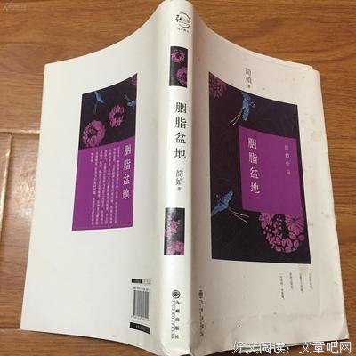 胭脂盆地读后感1000字