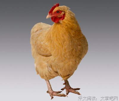 《伟大是熬出来的》的读后感大全