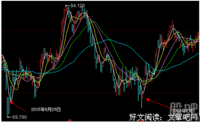 关于凤毛麟角的名言