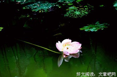 一叶泛于舟上句子