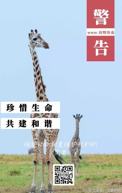 生命警告！