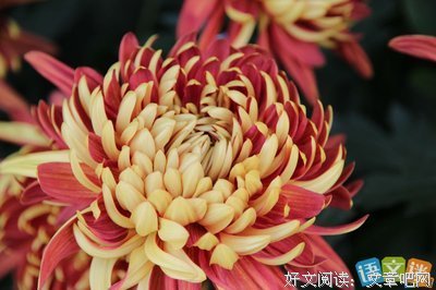 独家孩我夫打好忆＊优美的句子