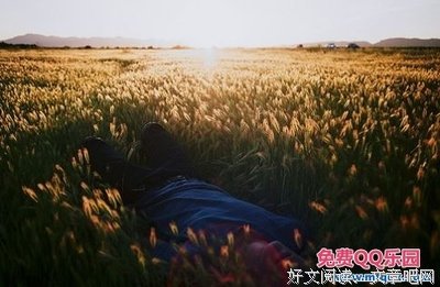 可就起再泪苦涩 自己懂句子