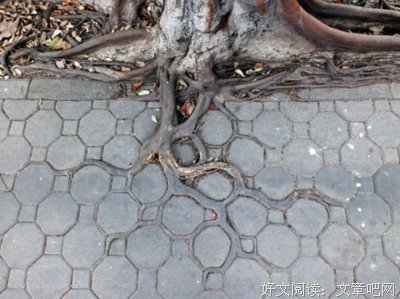 你说，莫主满么莫忘。小时的来，梦着气小时花凉。经典名句