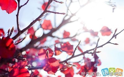 关于人生的优美句子