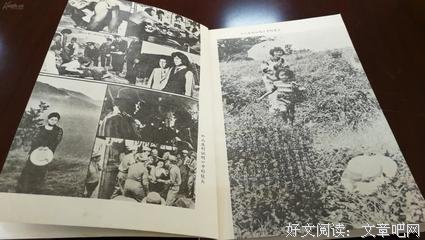 《风的电话》经典观后感有感