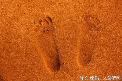 你的素心读后感摘抄