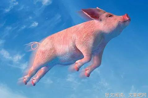 为什么有人能躺着成功