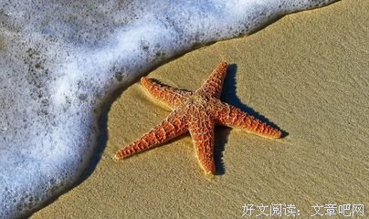 15条关于雨过天晴的经典语句