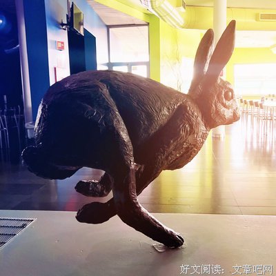 人生是一场遇见，一场欢喜