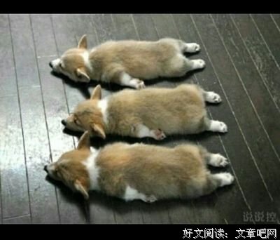 遇见的句子