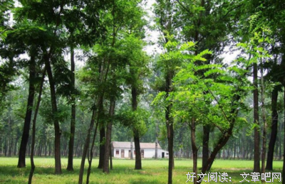 优美句子大全