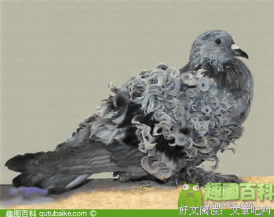狙击经典名句