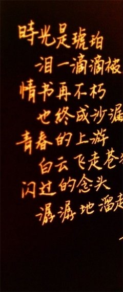 收录优美的句子