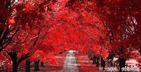 关于道听途说的唯美语录