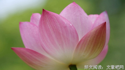 震耳欲聋的句子