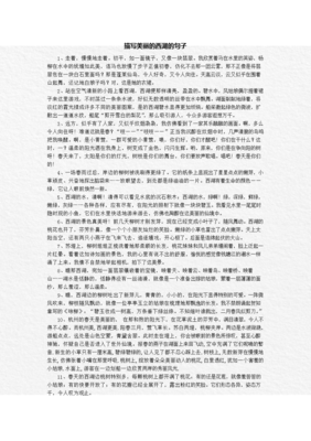 描写心向往之的经典句子