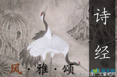 关于爱情一当落的句子