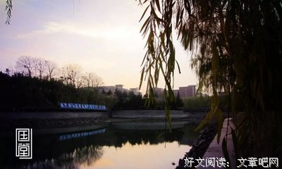 不争，不比，不求