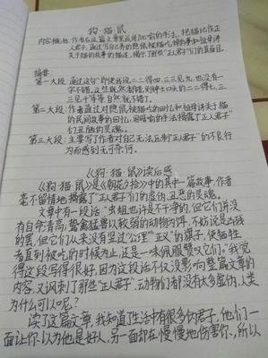 《四猫记》读后感摘抄