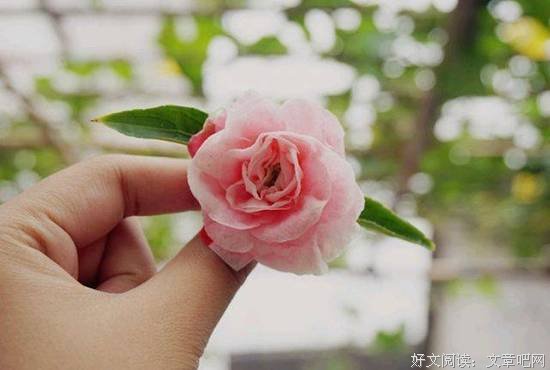 王阳明：念念守得定，事事看得轻 