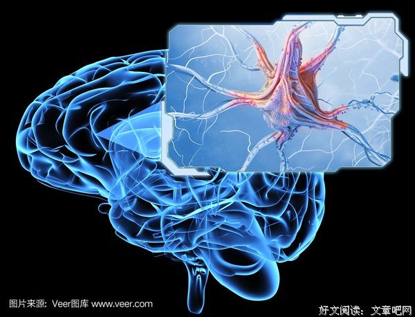 神经系统的语句摘抄_关于神经系统的语句