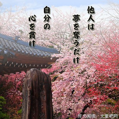 一言以蔽之的名人名言