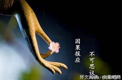 千万不能在佛前求这三件事，果报深重 !