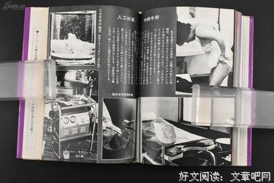 男人尊重性生活不检点的女人