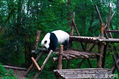 用他子远呢优美的句子