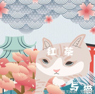 背叛婚姻的男人，最后只有这四个报应