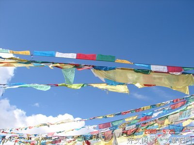 祭奠年后数上学年经典的句子